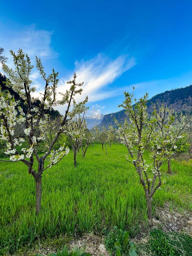 A Pousada Yolo Backpackers - Manali Exterior foto