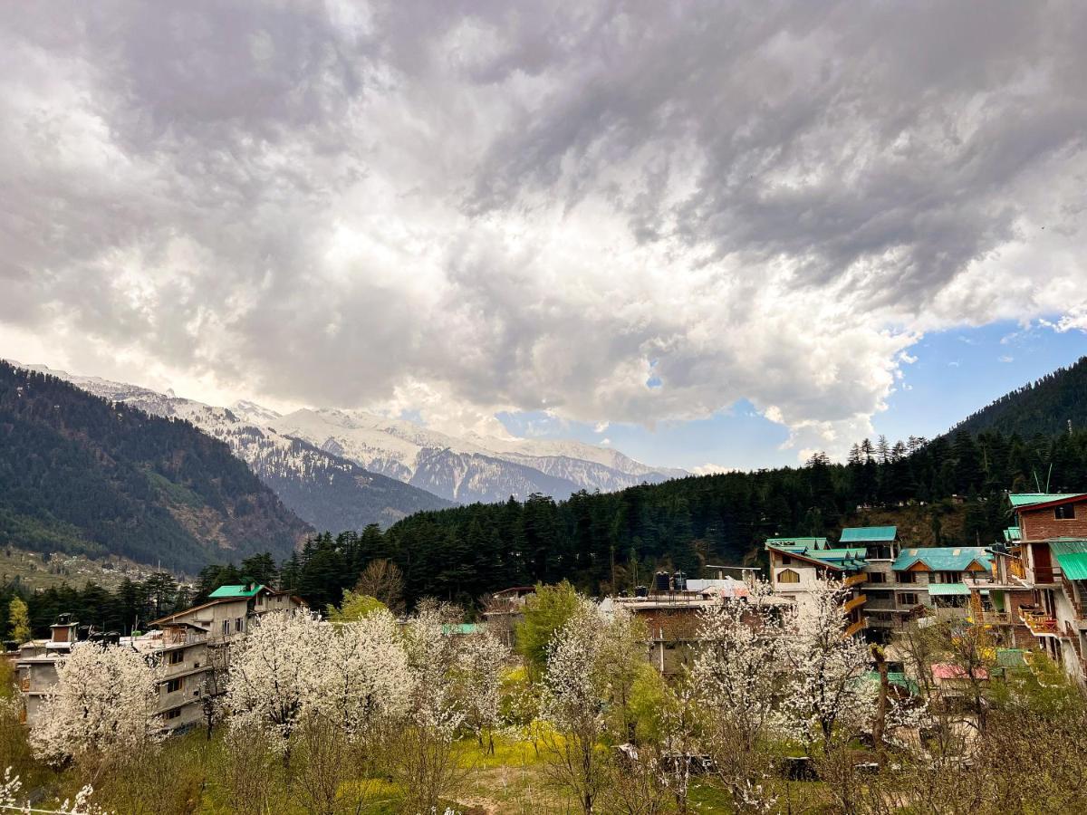 A Pousada Yolo Backpackers - Manali Exterior foto