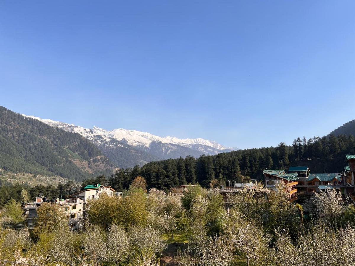A Pousada Yolo Backpackers - Manali Exterior foto