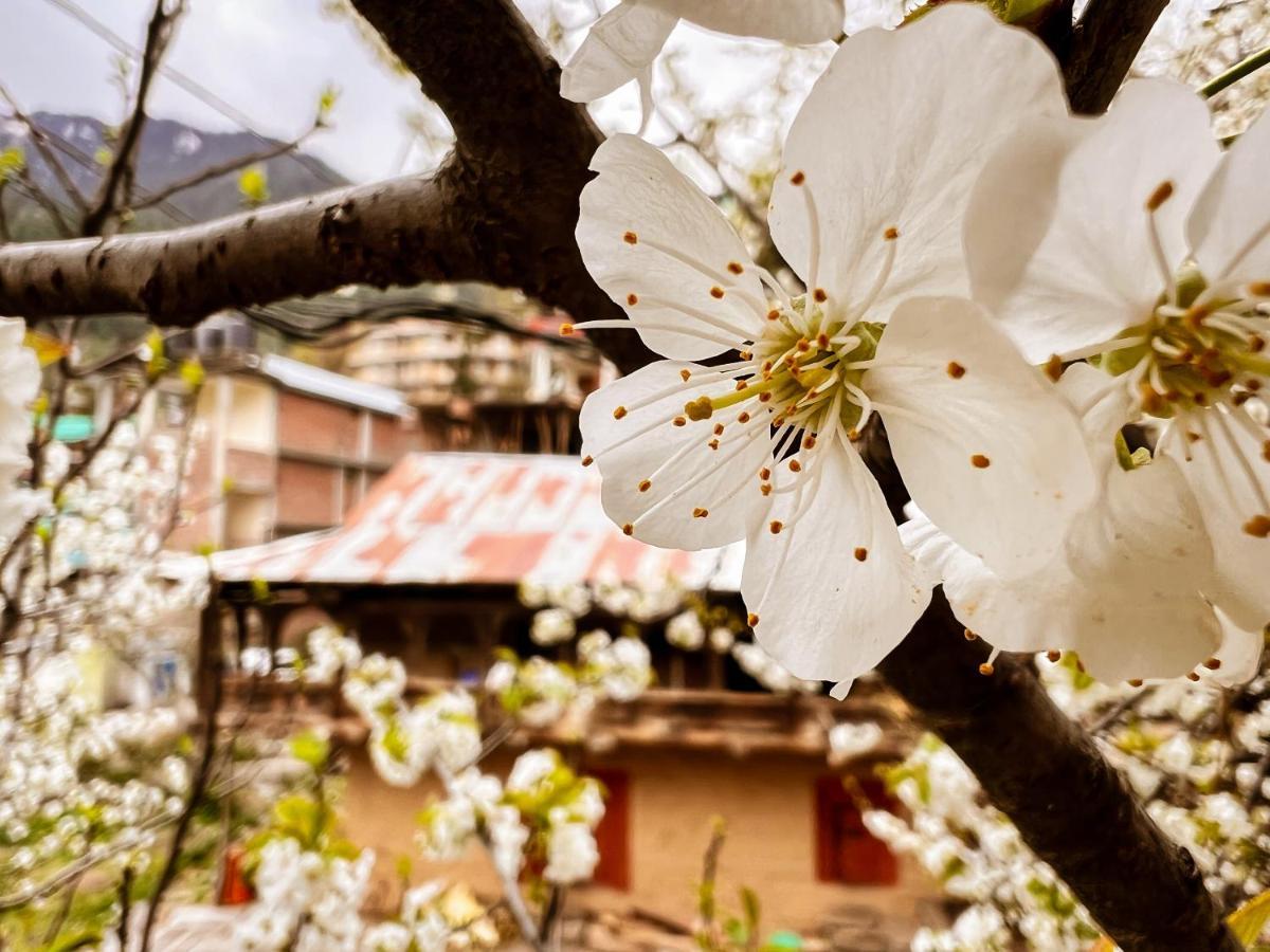 A Pousada Yolo Backpackers - Manali Exterior foto