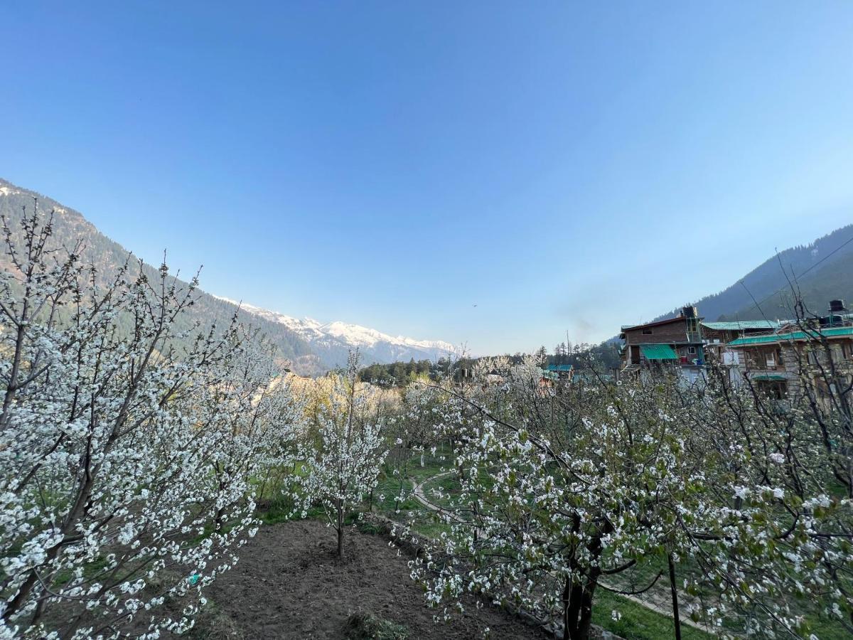 A Pousada Yolo Backpackers - Manali Exterior foto