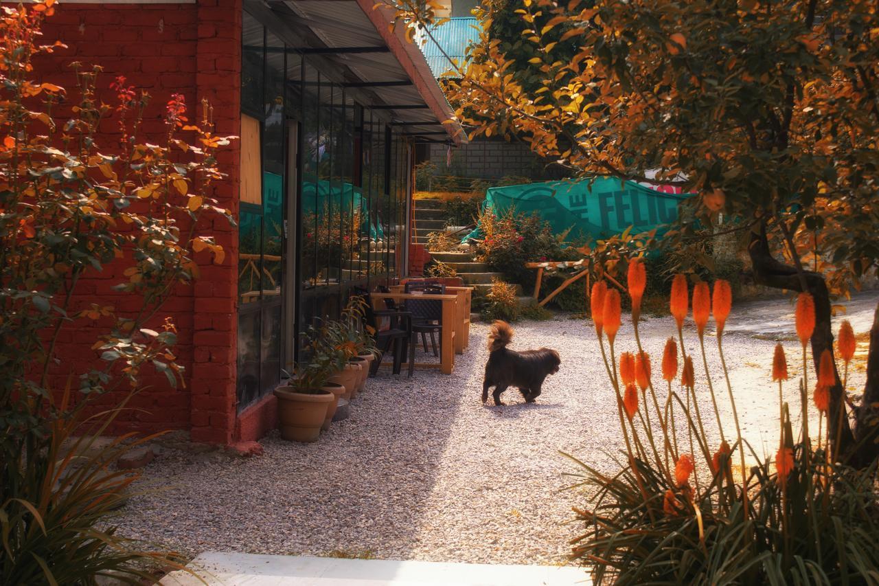 A Pousada Yolo Backpackers - Manali Exterior foto