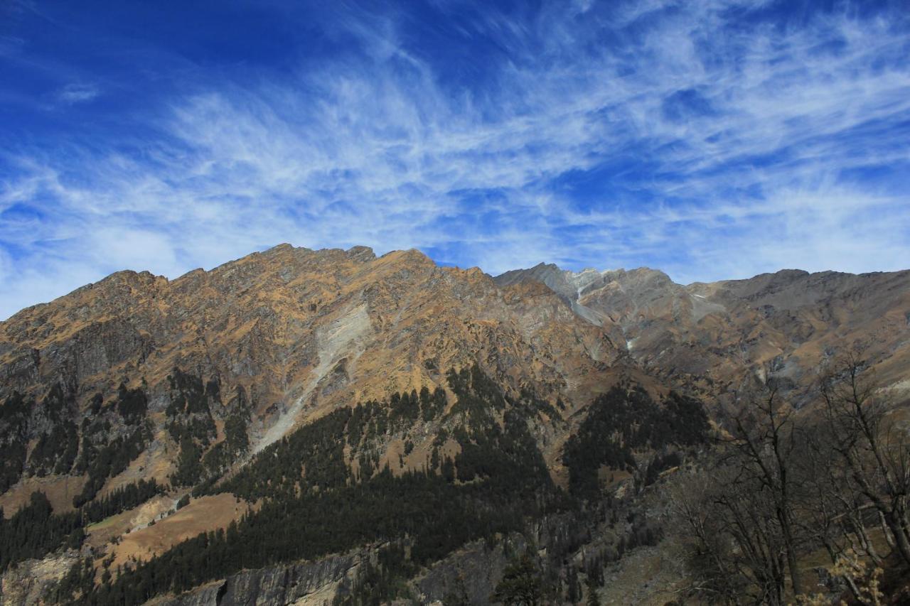 A Pousada Yolo Backpackers - Manali Exterior foto